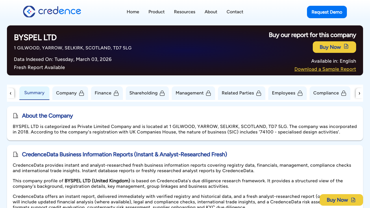 BYSPEL LTD website preview
