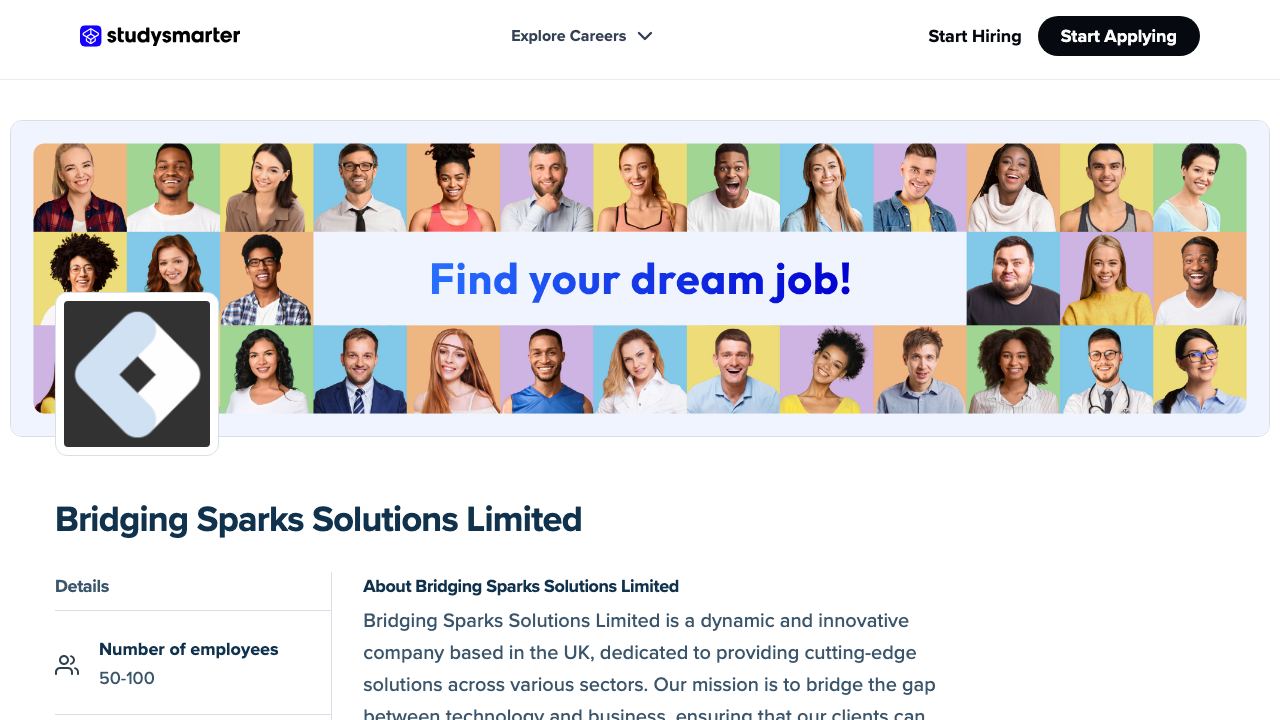 BRIDGING SPARKS SOLUTIONS LIMITED website preview