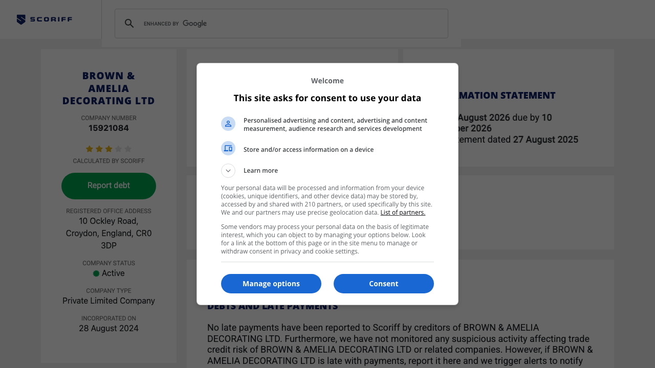 BROWN & AMELIA DECORATING LTD website preview