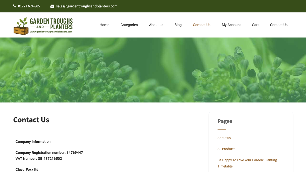 CLEVER FOXX LTD website preview