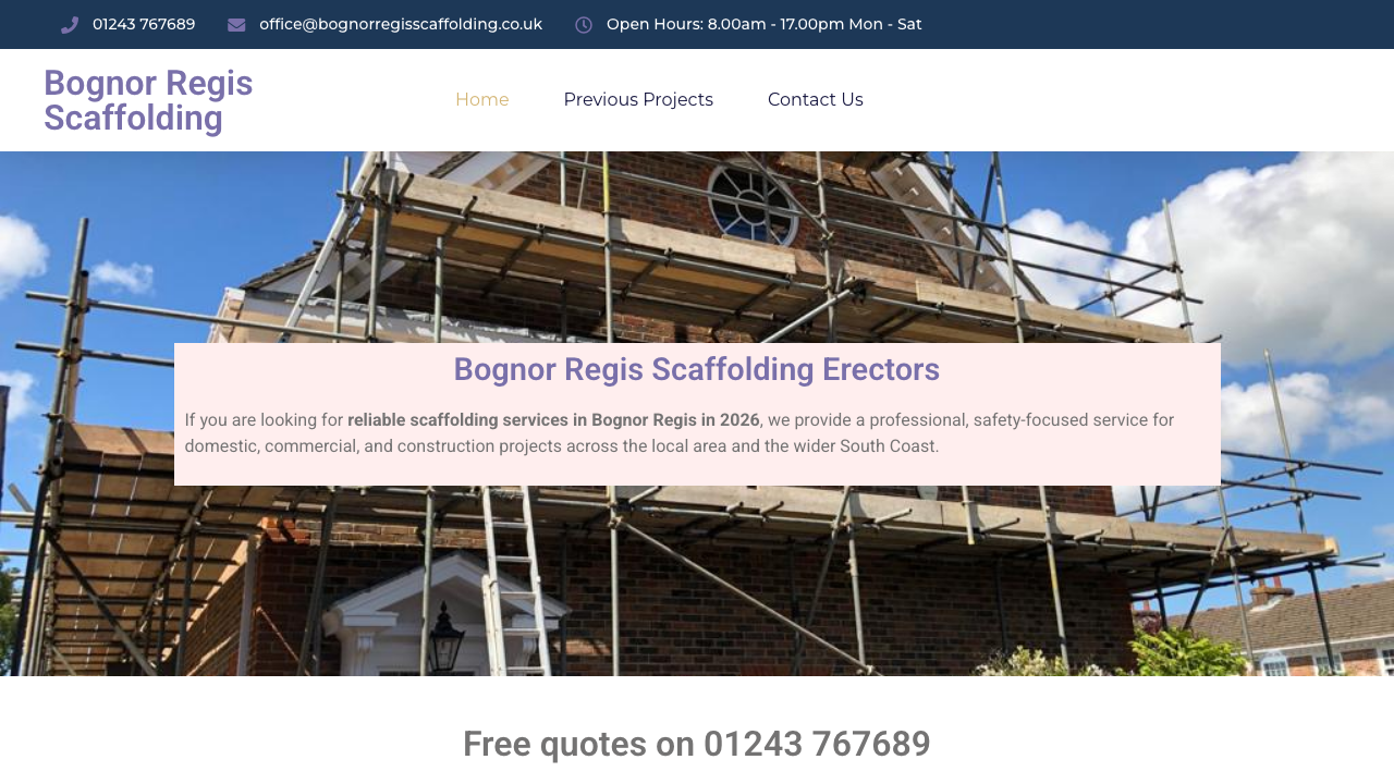 BOGNOR REGIS SCAFFOLDING LTD website preview