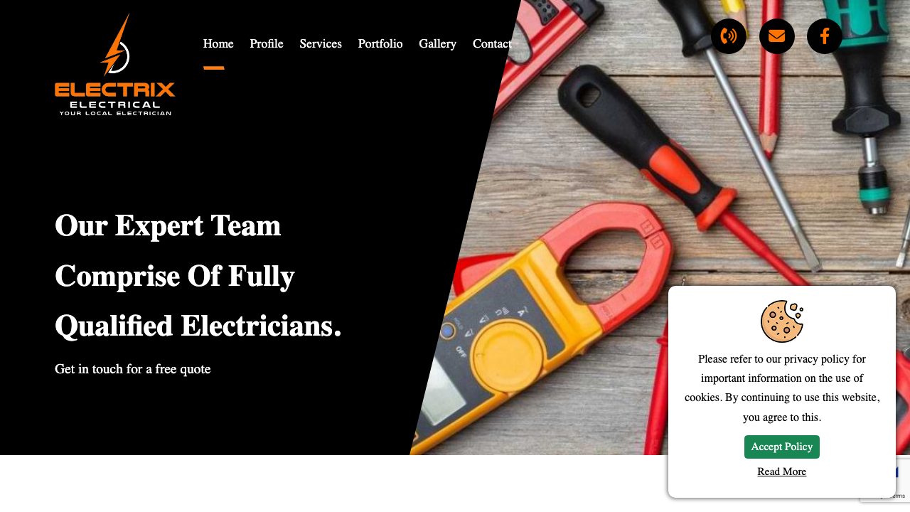 ELECT ELECTRICAL LTD website preview
