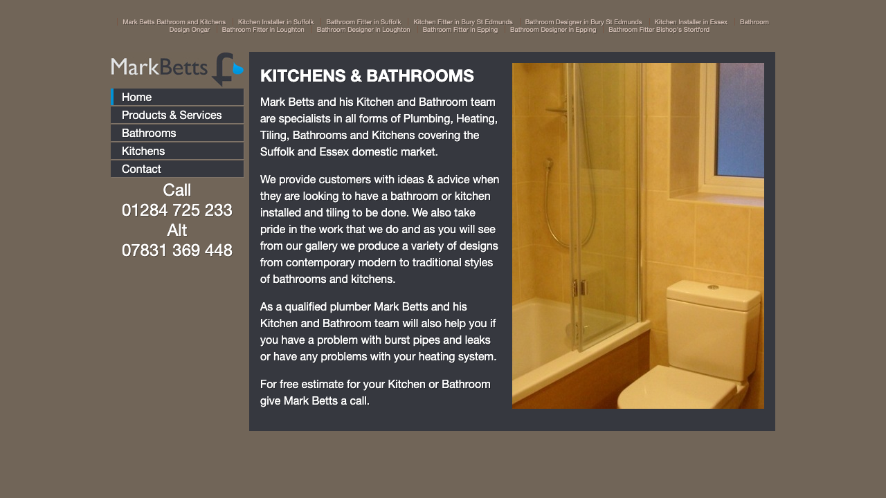 BETTS ECOBUILD LTD website preview