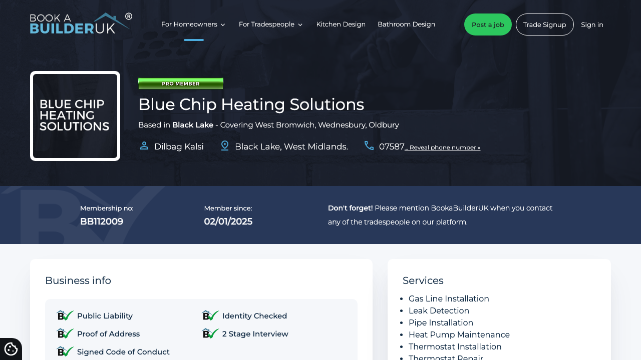 BLUE CHIP HEATING SOLUTIONS LTD website preview