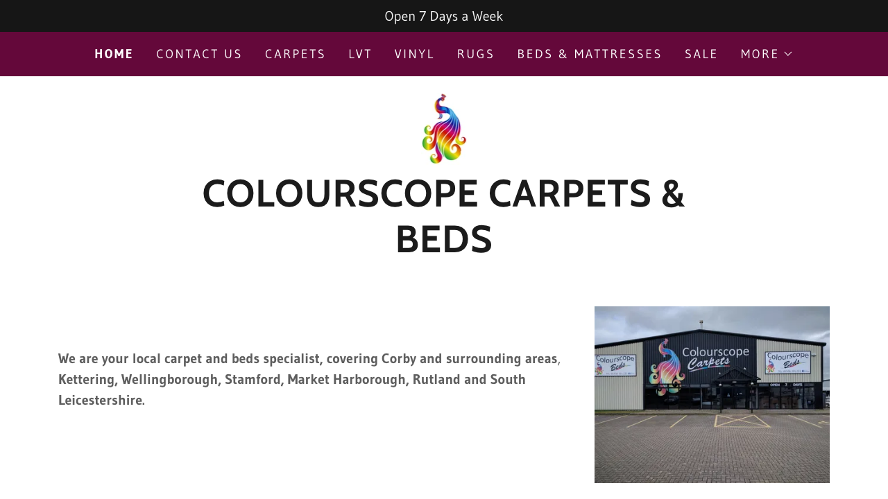 BALFIE LTD website preview