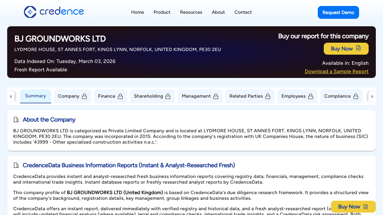 BJ GROUNDWORKS LTD website preview
