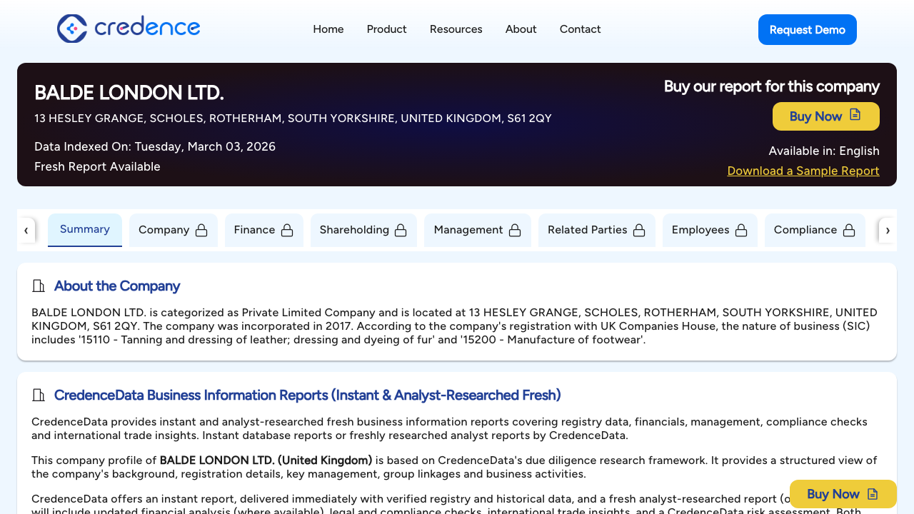 BALDE GROUP LTD website preview