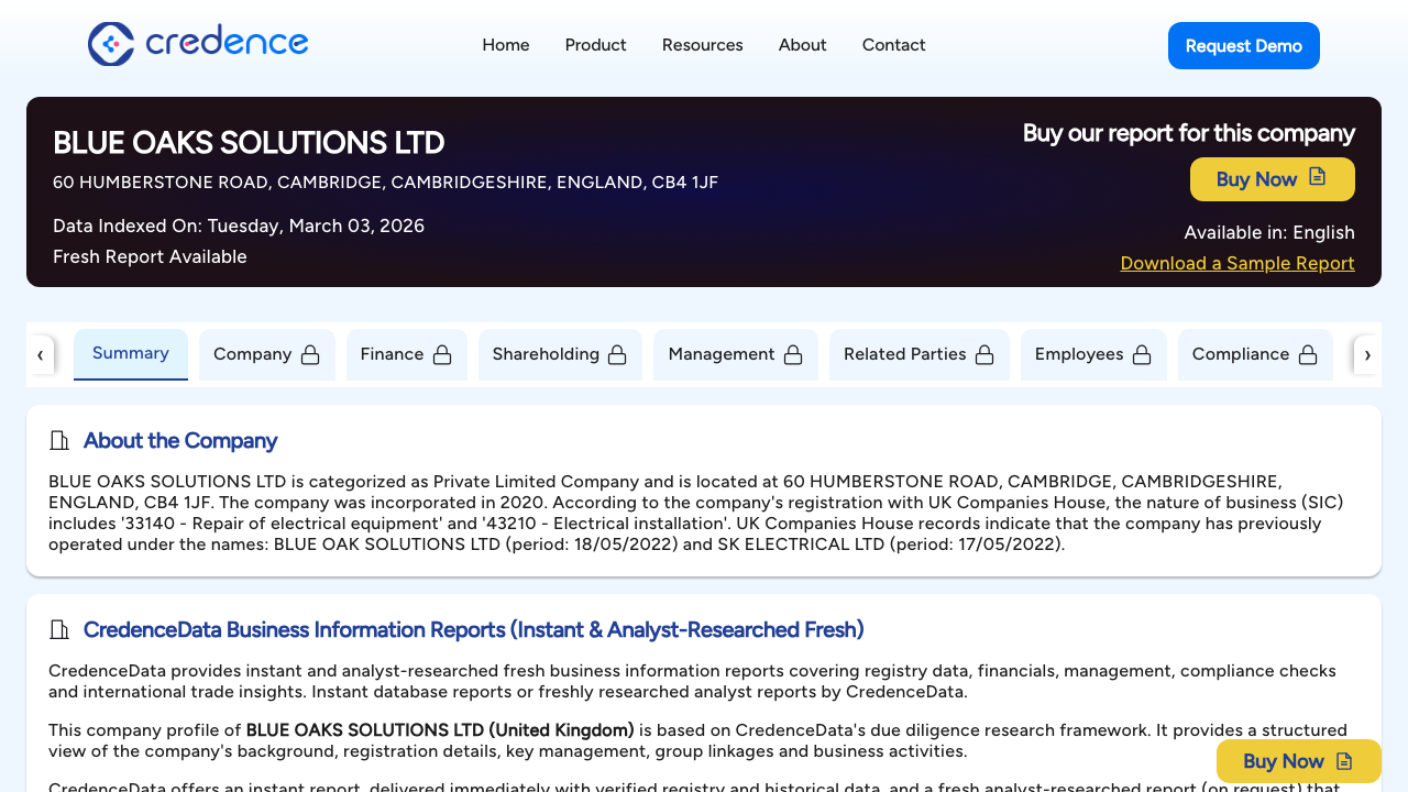 BLUE OAKS SOLUTIONS LTD website preview