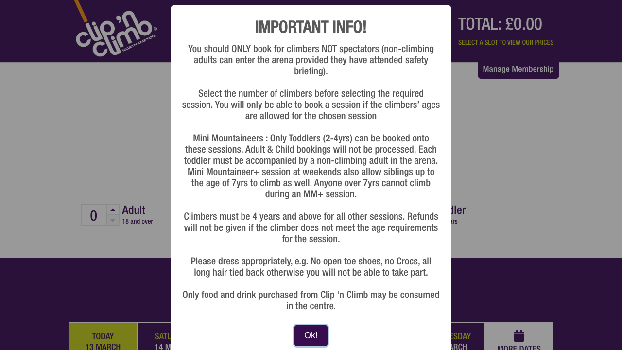 CLEVERCLIP LTD website preview