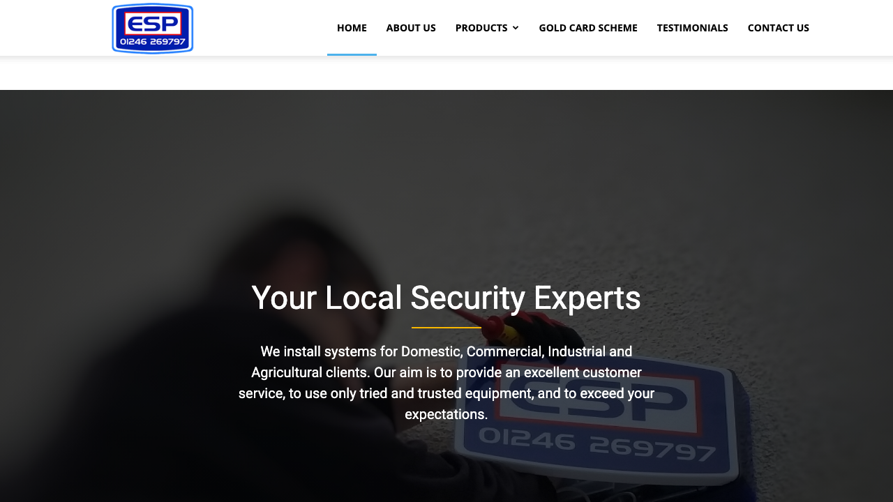 ESP SECURITY LIMITED website preview