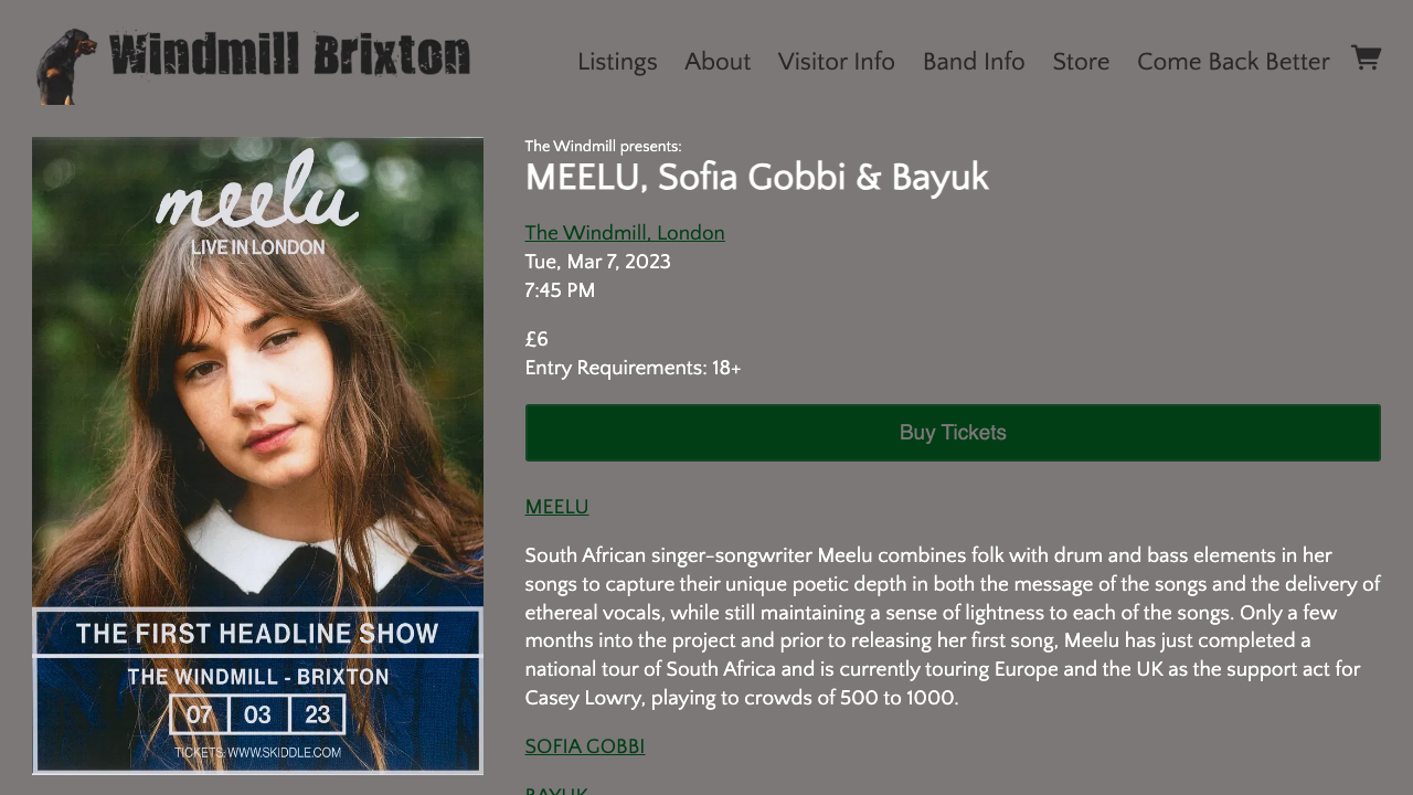 BAYUK LTD website preview