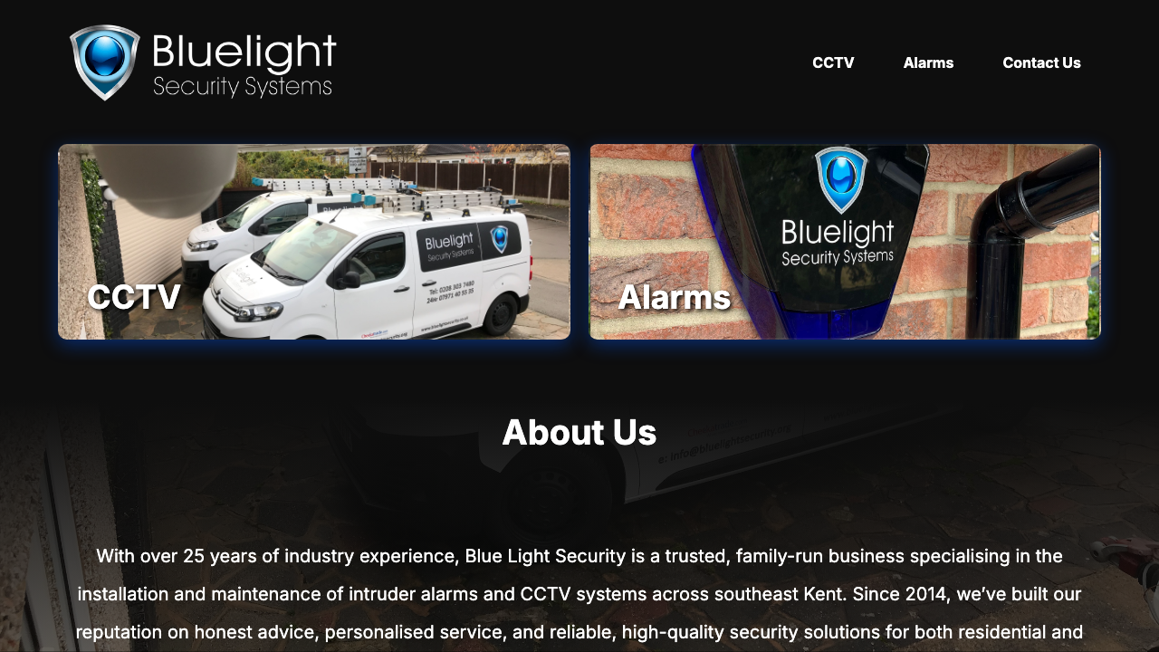 BLUE LIGHT SECURITY SYSTEMS LTD website preview