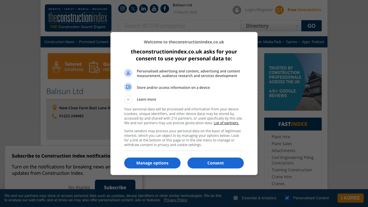 BALISUN LIMITED website preview