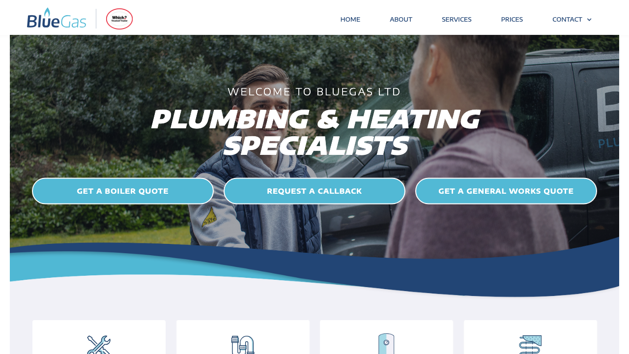 BLUE GAS & HEATING SPECIALISTS LIMITED website preview
