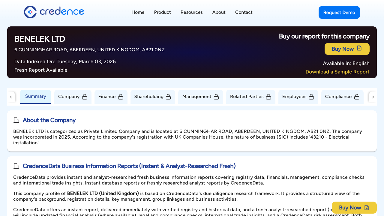 BENELEK LTD website preview