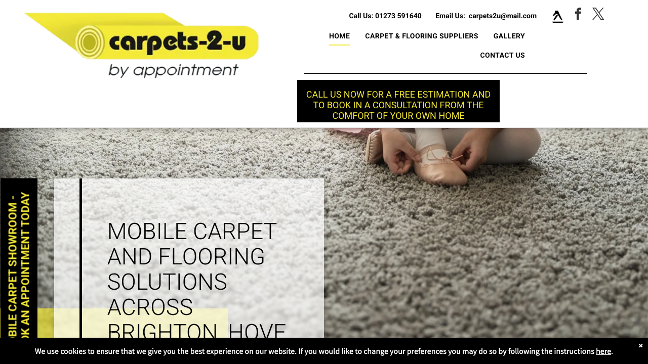 CARPETS2U SUSSEX LIMITED website preview