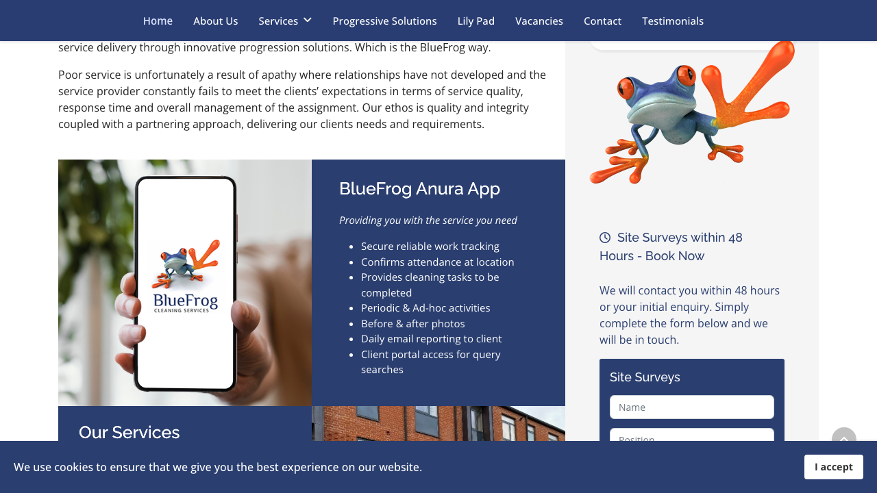 BLUE FROG SERVICES LIMITED website preview