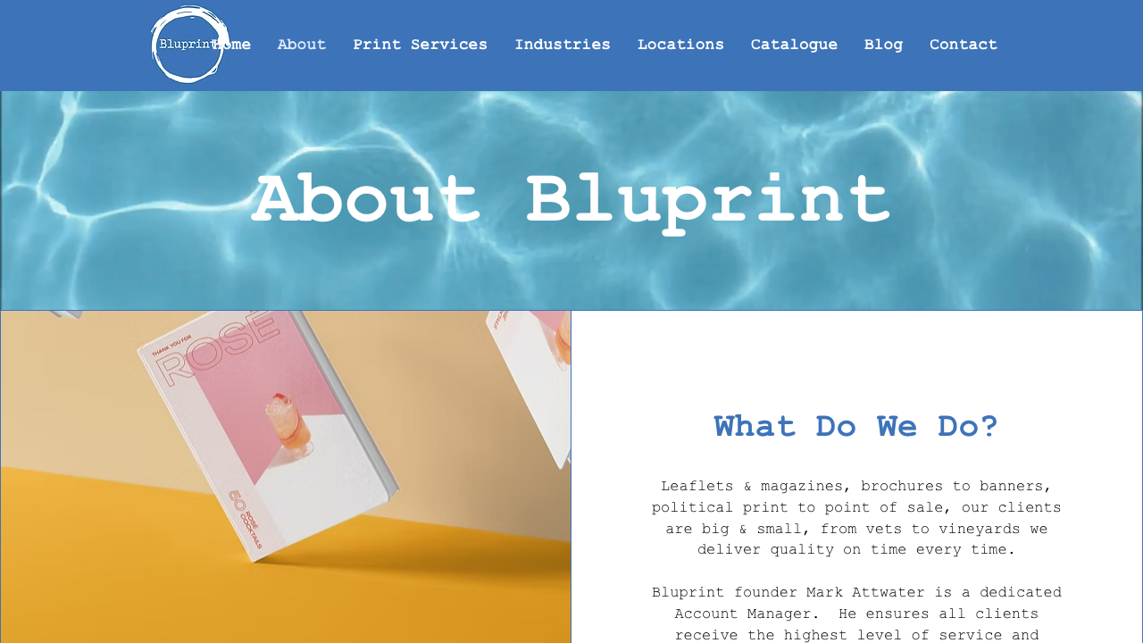 BLU-PRINT PLANNING PROFESSIONALS LTD website preview
