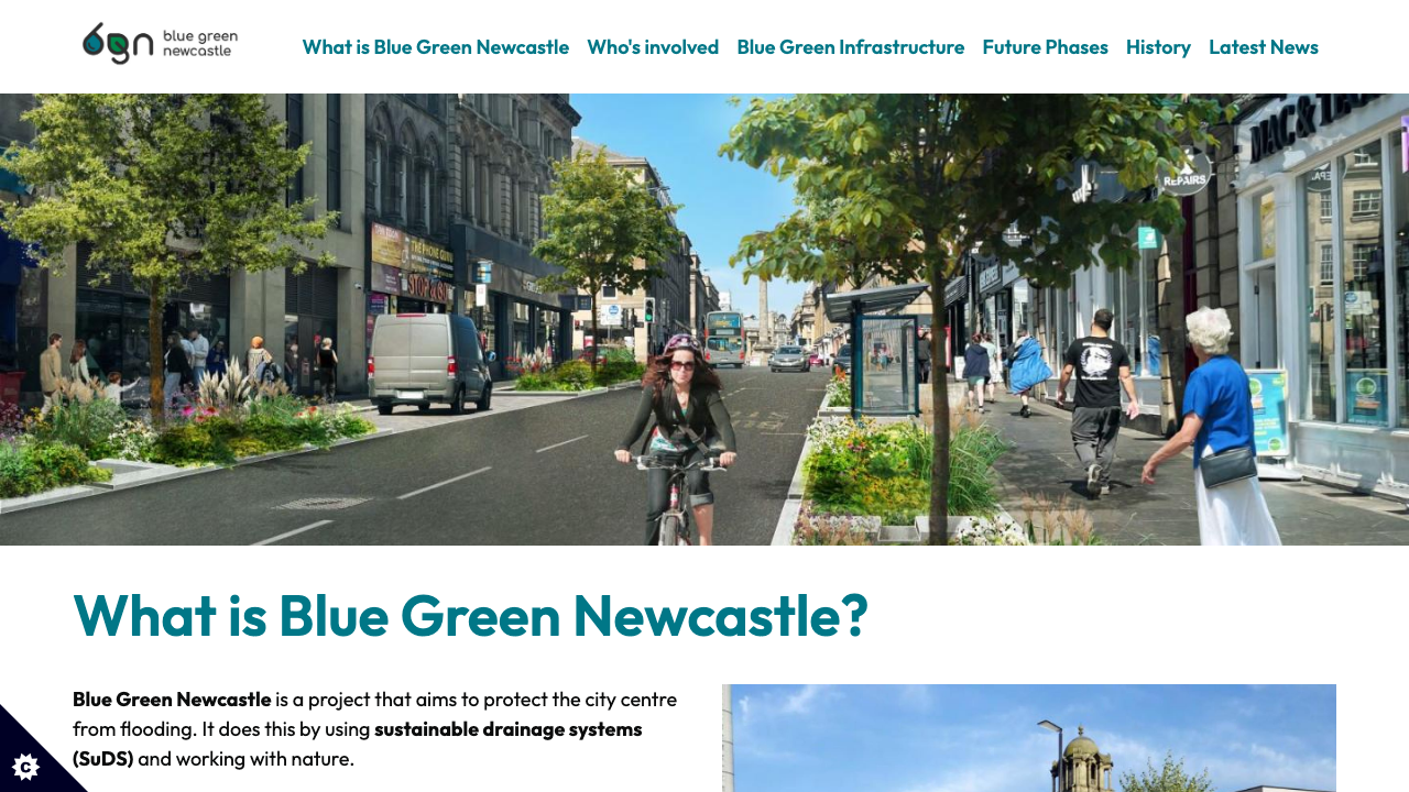 BLUE GREEN WORLD LTD website preview