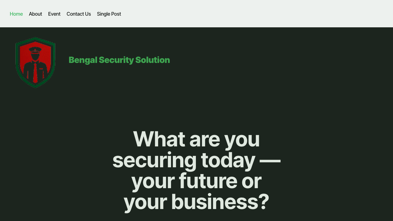 BENGAL SECURITY SOLUTION LTD website preview