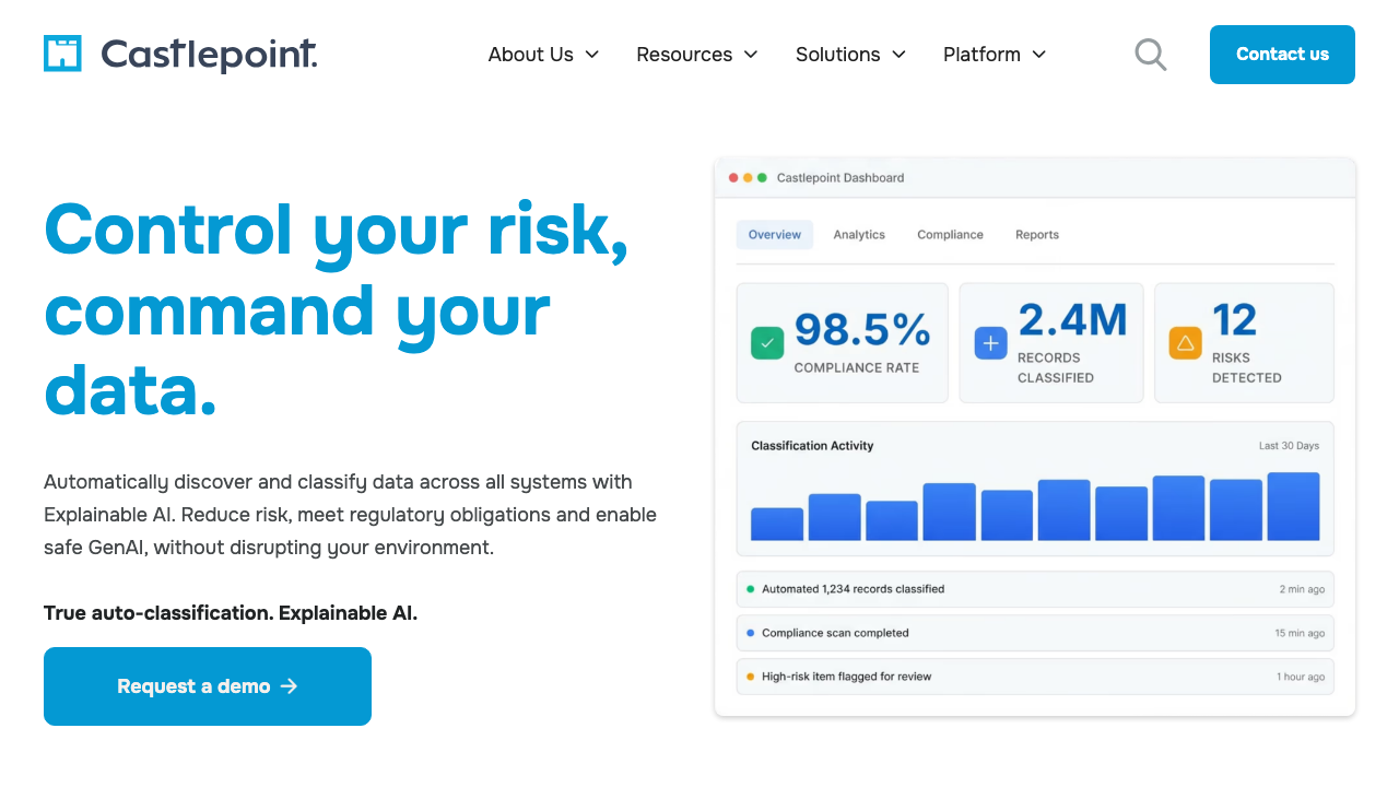 CASTLE POINT SECURITY SOLUTIONS LTD website preview