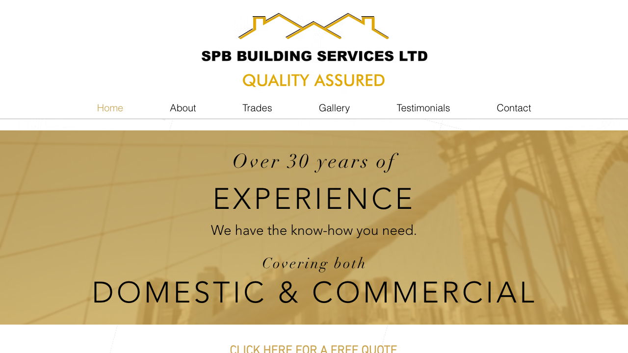BPS BUILDING SERVICES LTD website preview