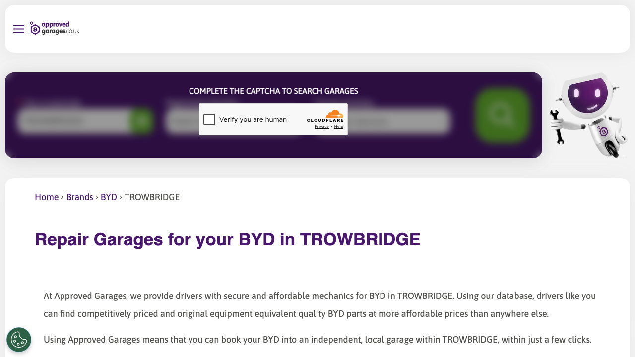 BYD LTD website preview