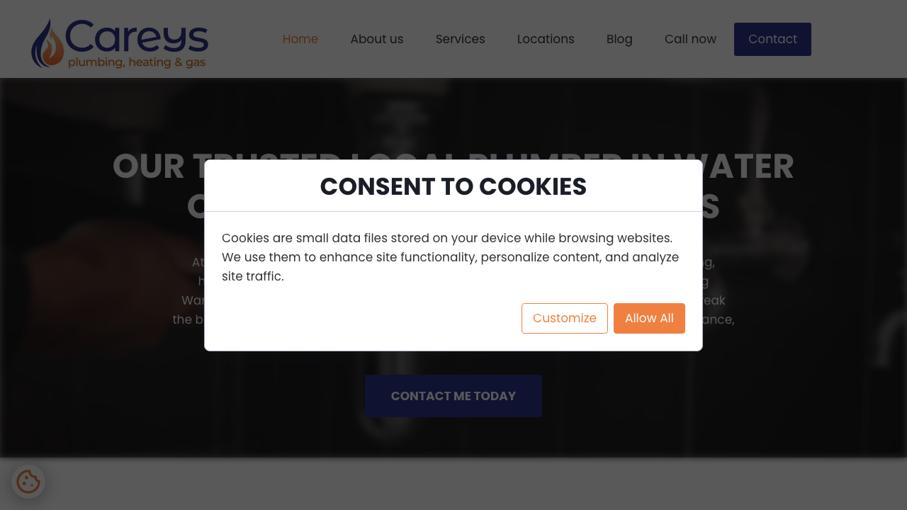 CAREYS PLUMBING SERVICES LTD website preview