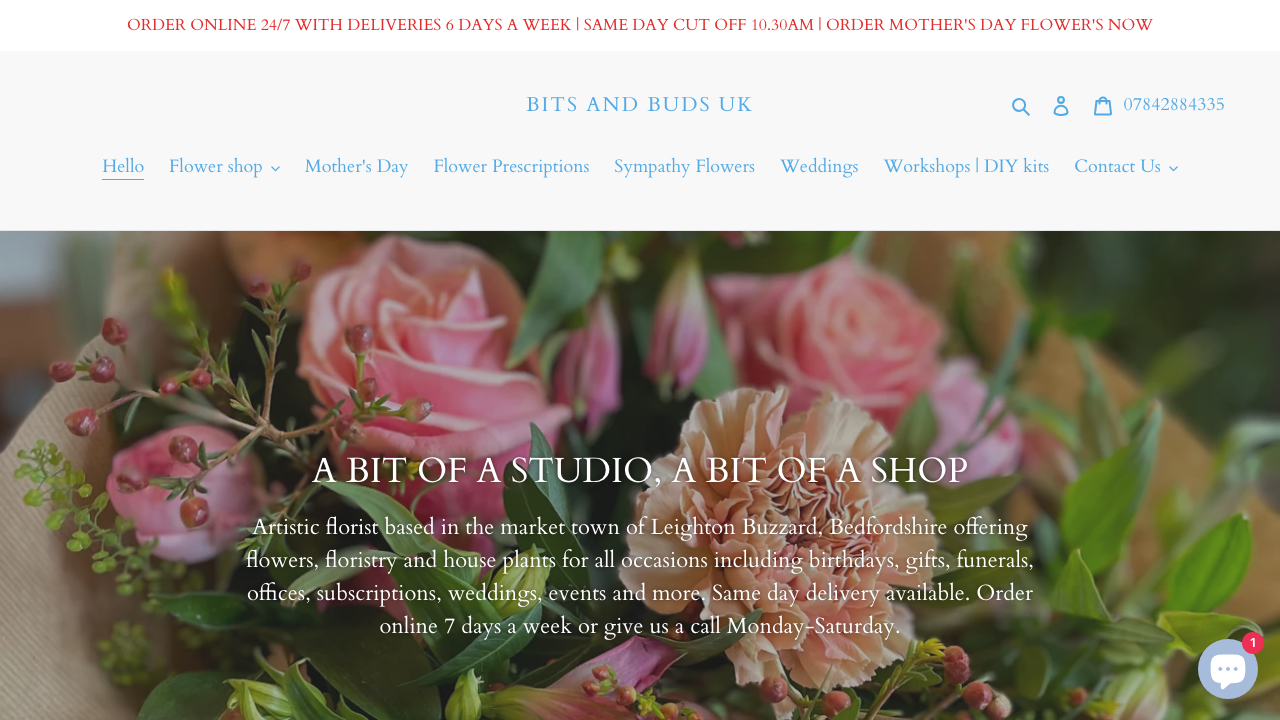 BITS AND BUDS LTD website preview