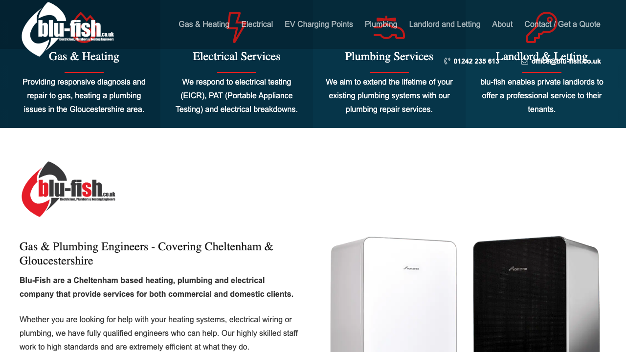 BLU-FISH LTD website preview