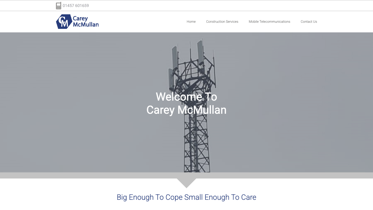 CAREY MC MULLAN LTD website preview