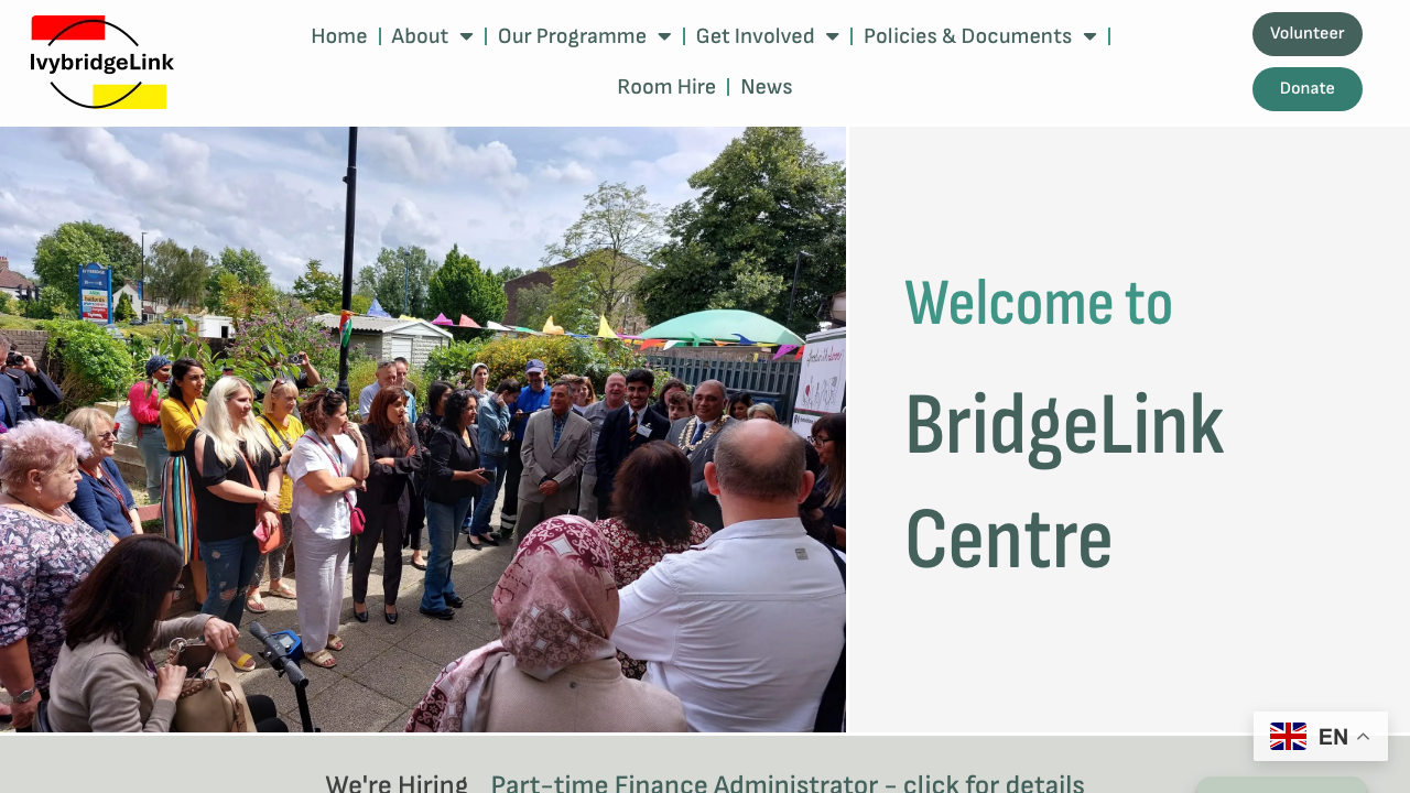 BRIDGELINKSERVICES LTD website preview