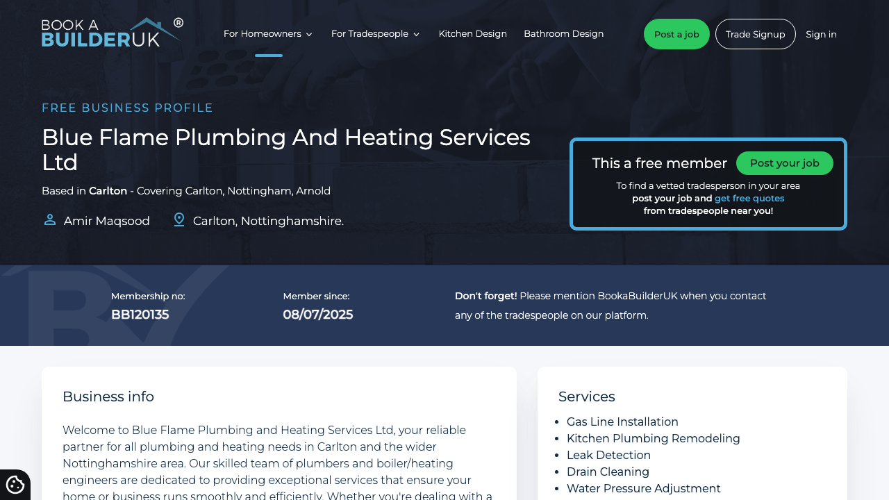 BLUE FLAME PLUMBING AND HEATING SERVICES LTD website preview