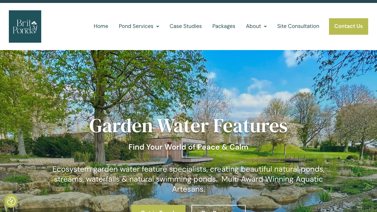 BRIT PONDS GROUP LTD website preview