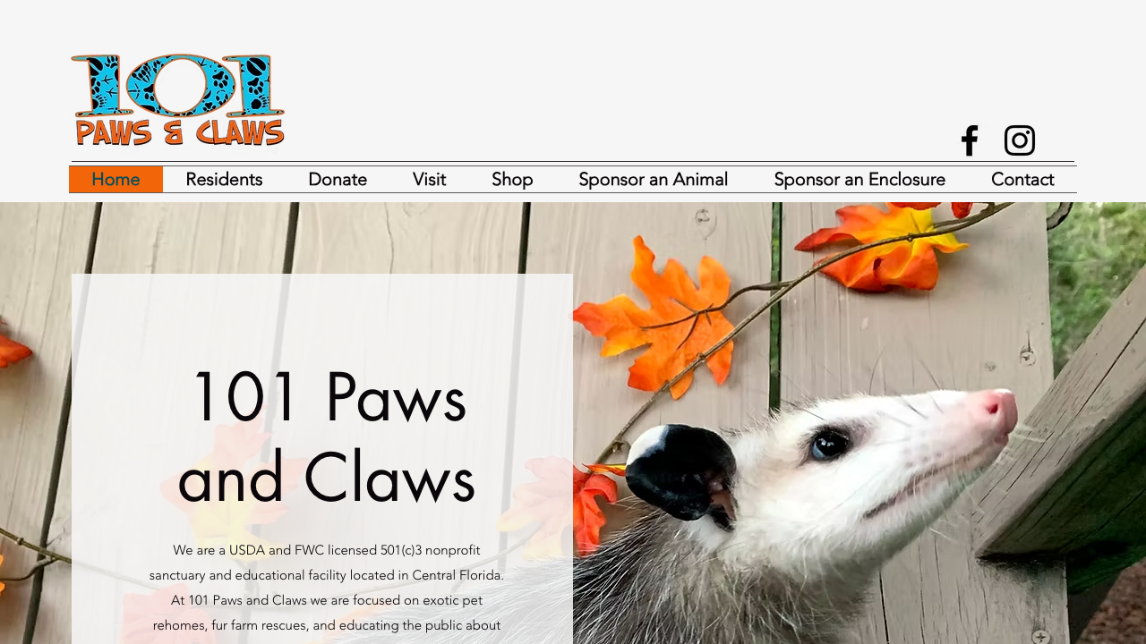 101 PAWS LTD website preview