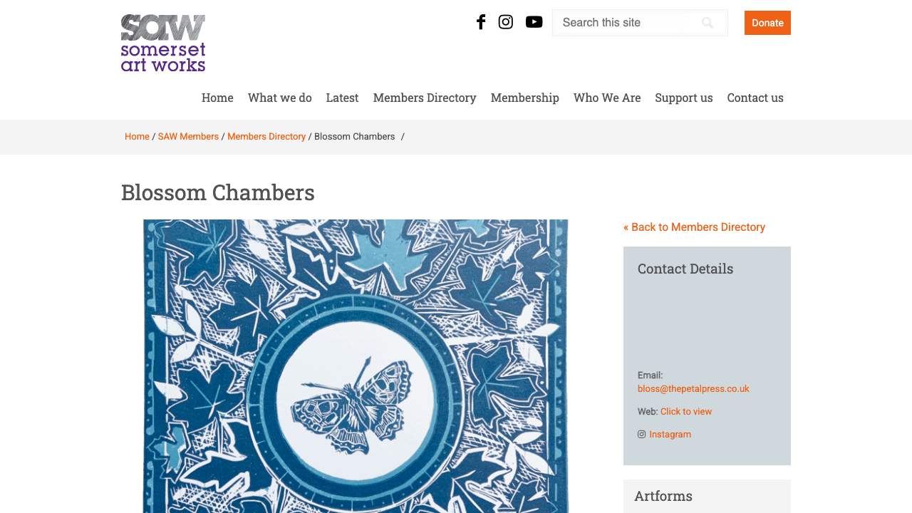 BLOSSOM CREATIVE LTD website preview