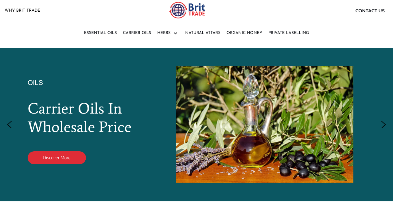 BRIT TRADING LTD website preview