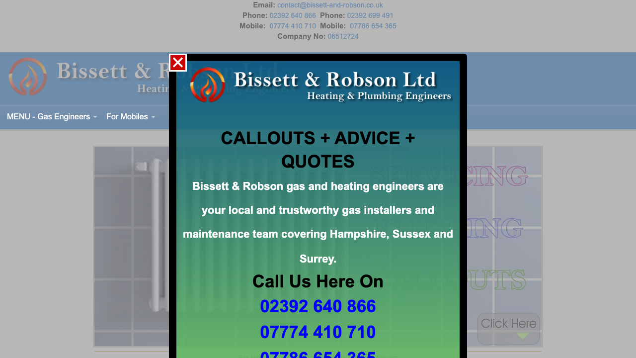 BISSETT & ROBSON LTD website preview