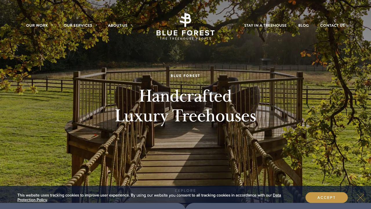 BLUE FOREST (UK) LTD website preview