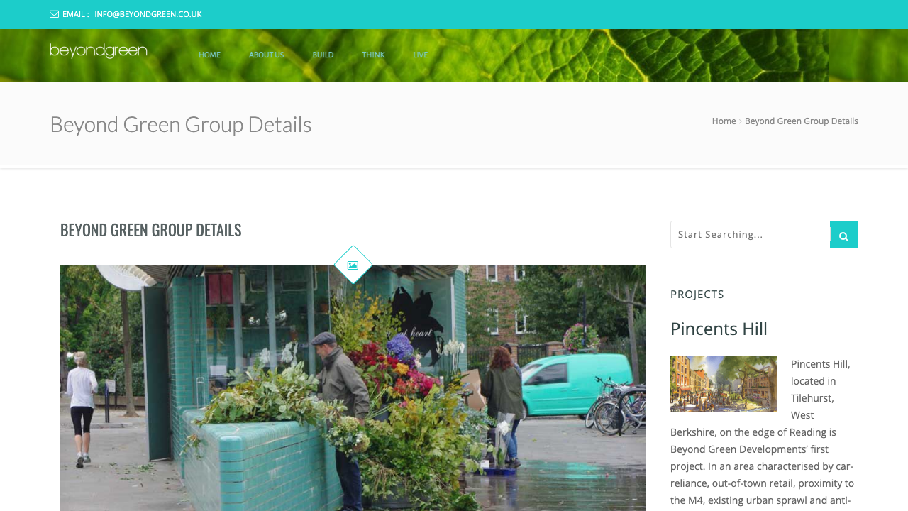 BEYOND GREEN GROUP LTD website preview