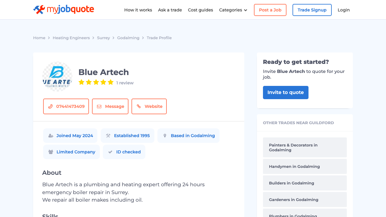 BLUE ARTECH LIMITED website preview