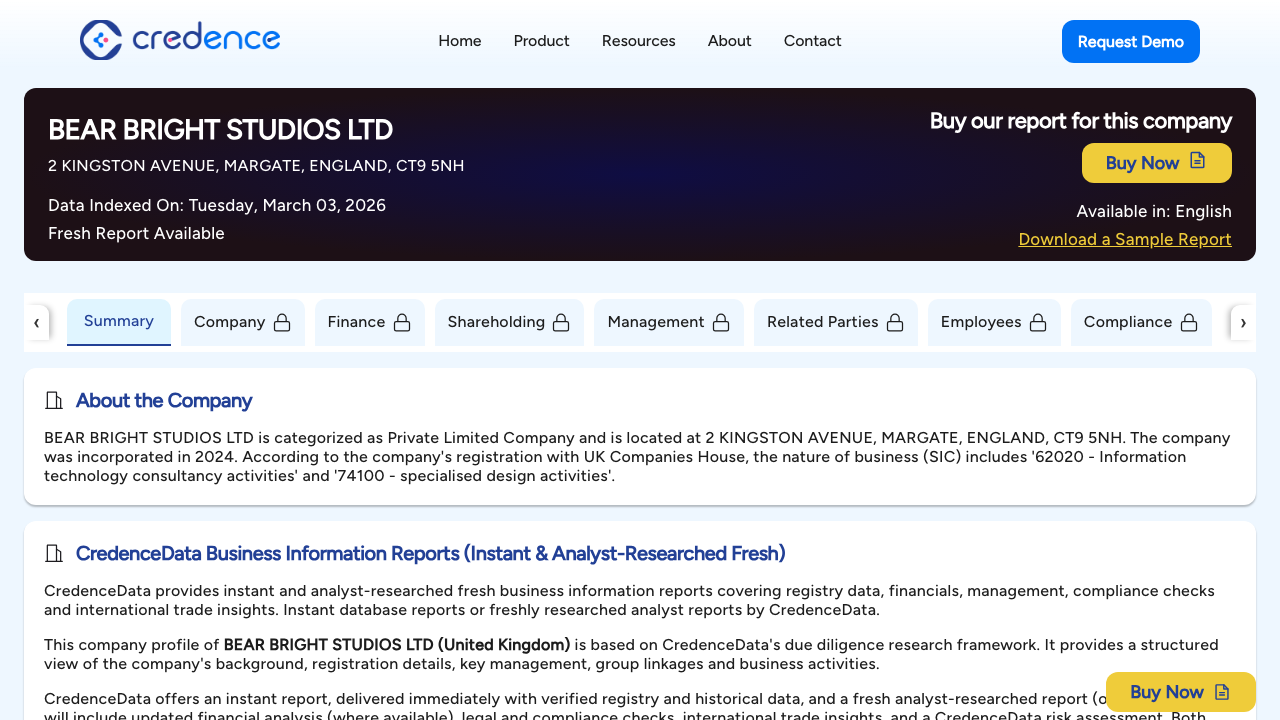 BEAR BRIGHT STUDIOS LTD website preview