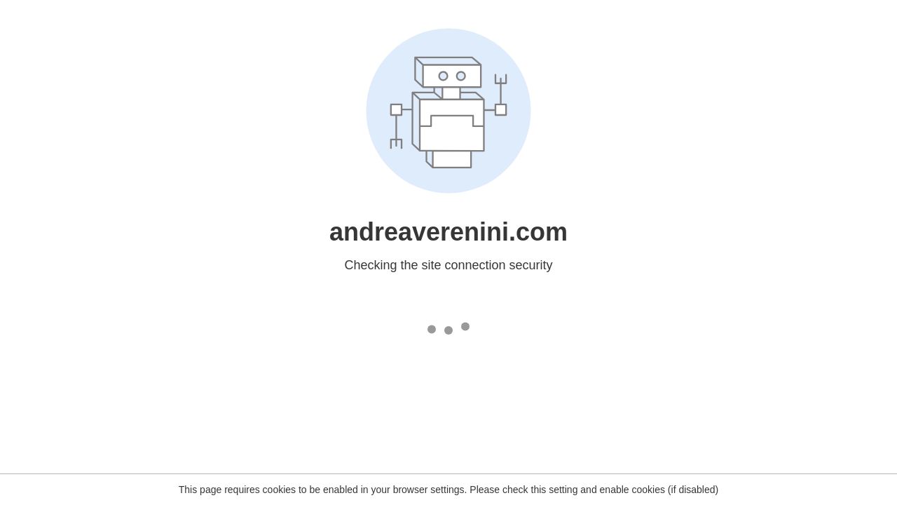 ANDREA VERENINI LTD website preview