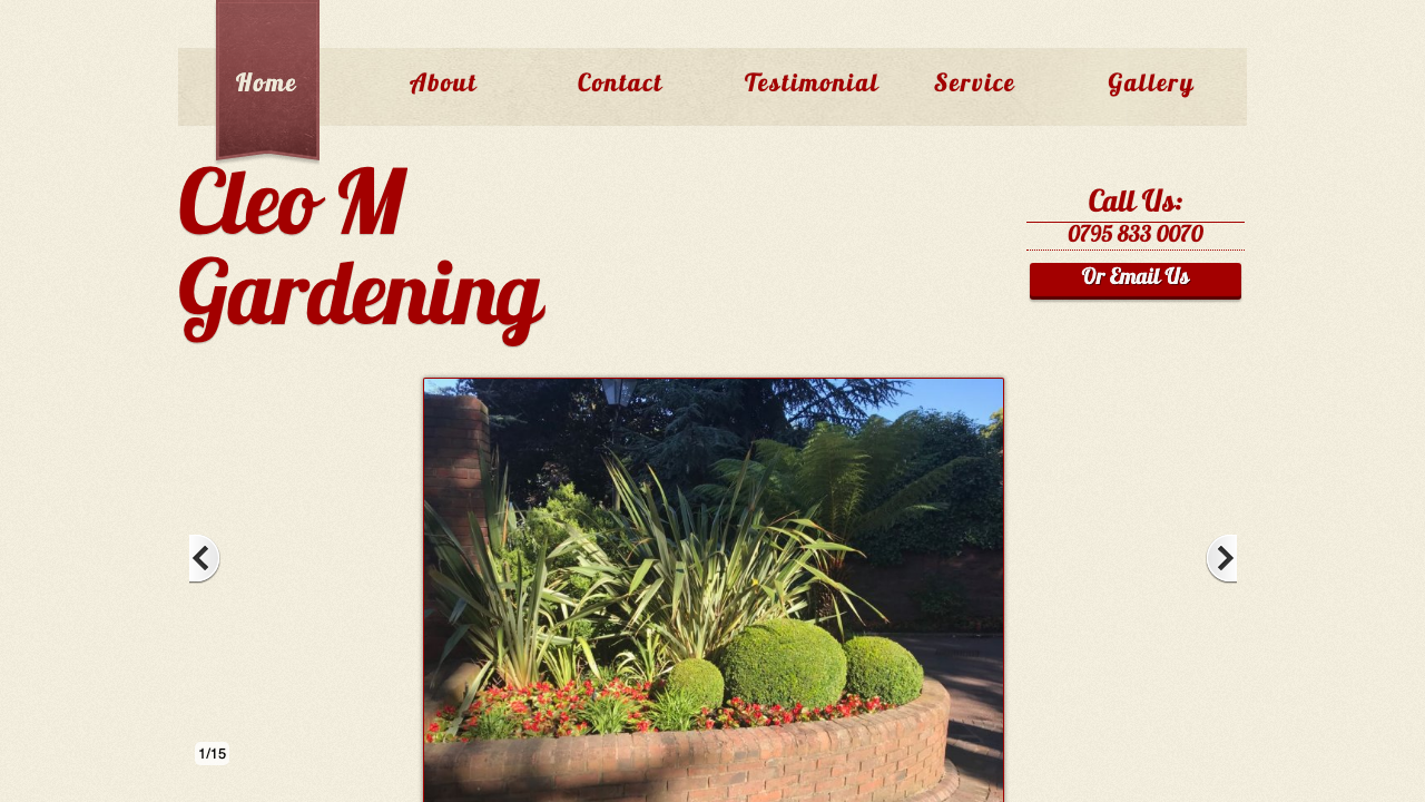 CLEO M LTD website preview