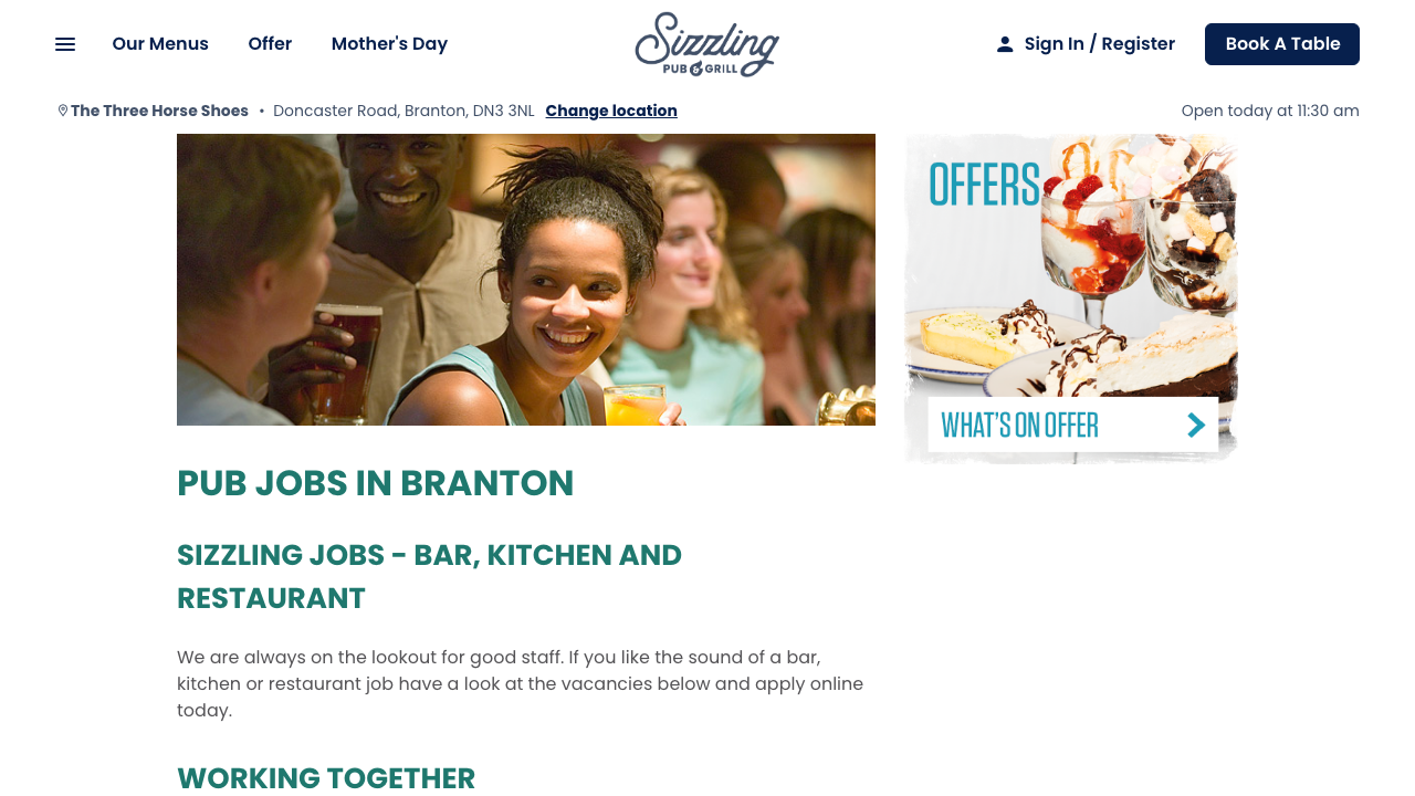 BOGS TO HOBS LTD website preview