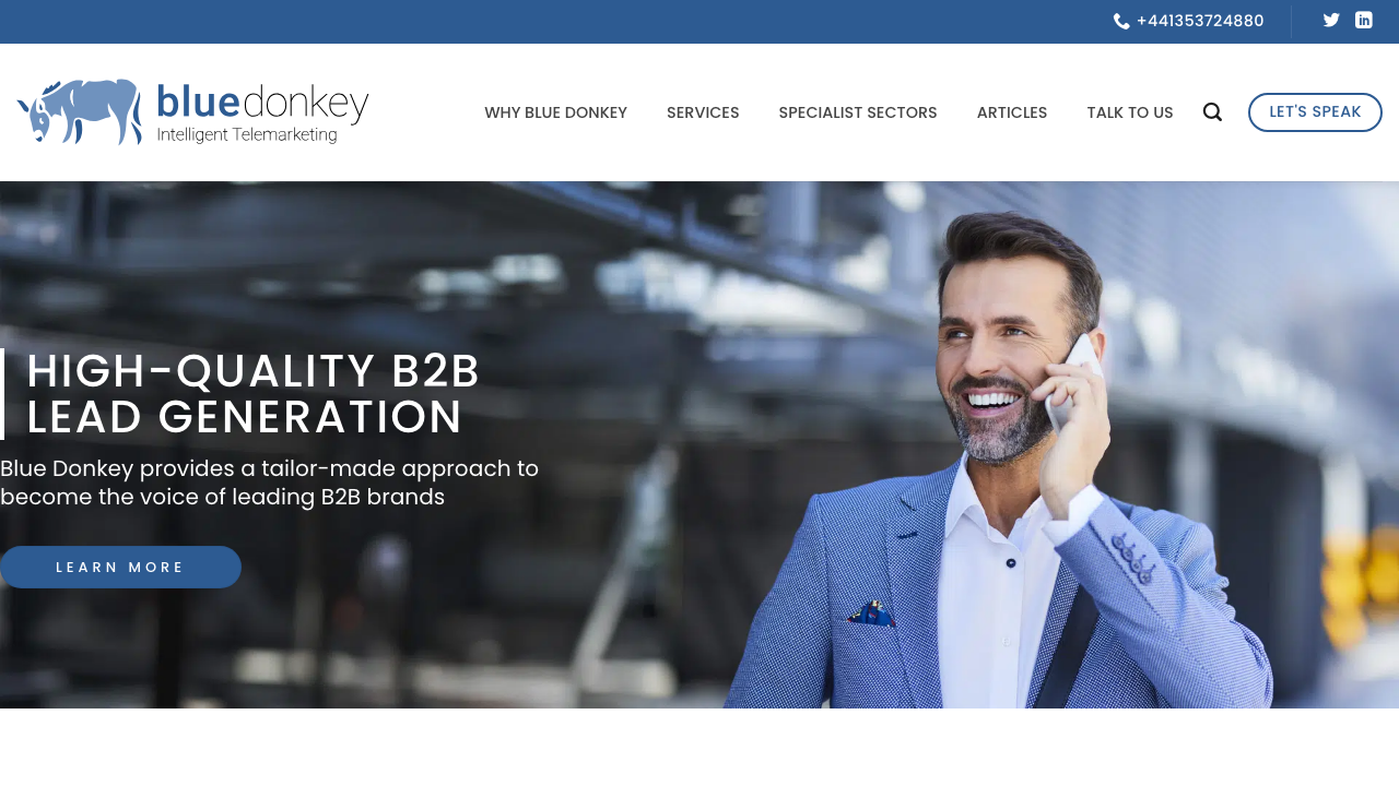 BLU DONKEY MULTI MEDIA SERVICES LTD website preview