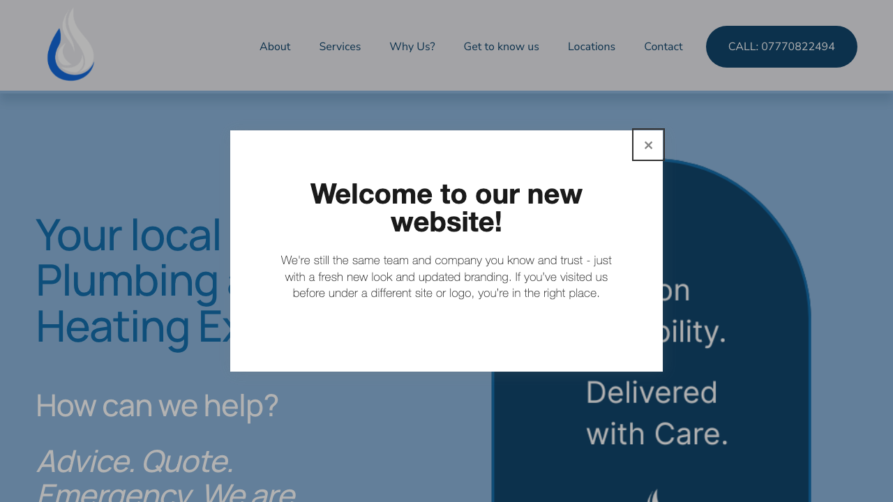 BLUE FINIAL LTD. website preview