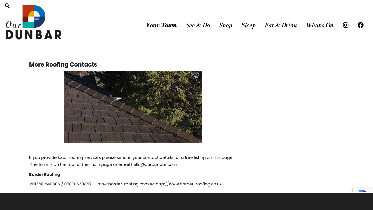 BISSET ROOFING SERVICES LTD website preview