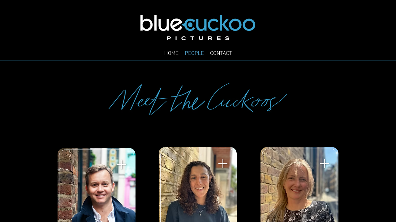 BLUE CUCKOO CREATIVE LIMITED website preview