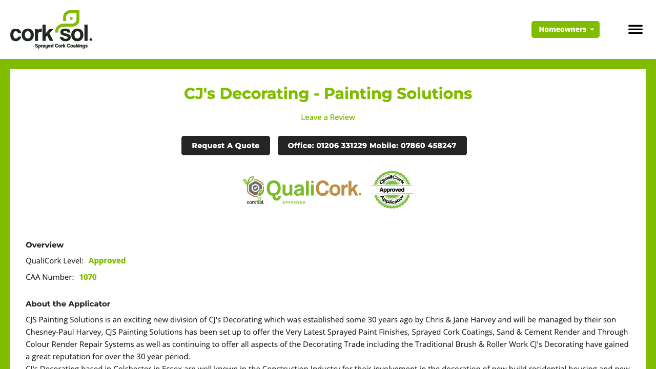 CJS PAINTING SOLUTIONS LIMITED website preview